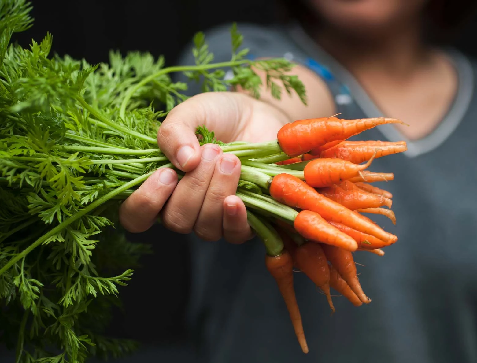 raw baby carrots