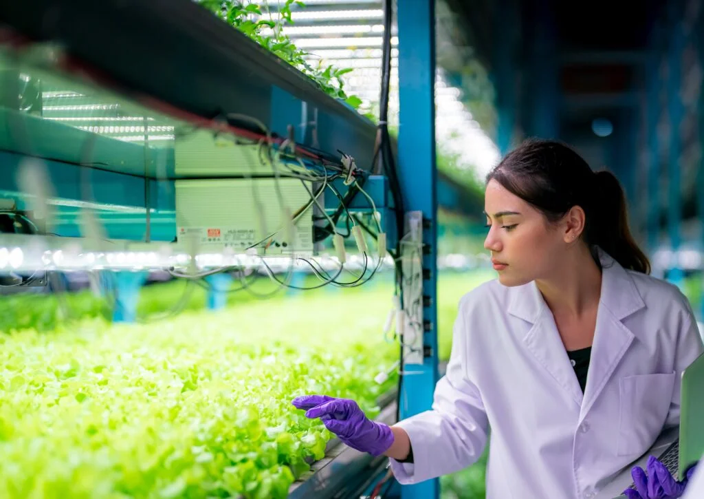 planned hi-tech farming
