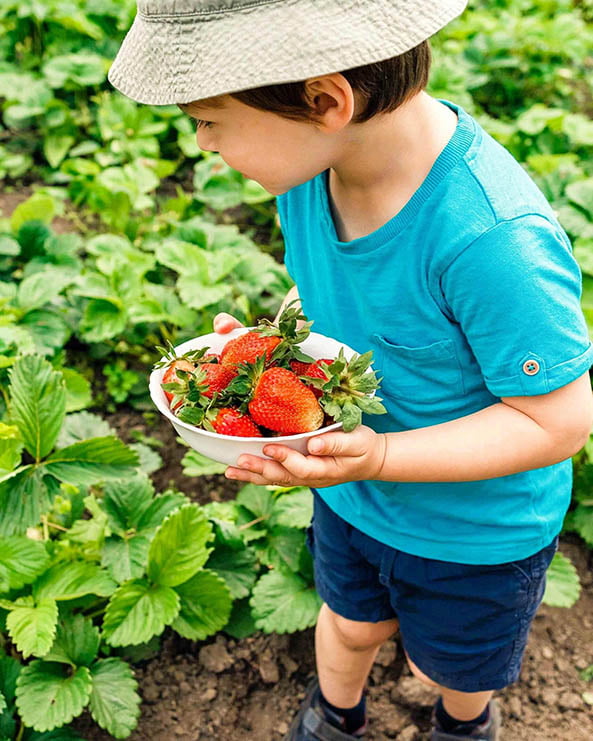 kid in garden plucking fruits