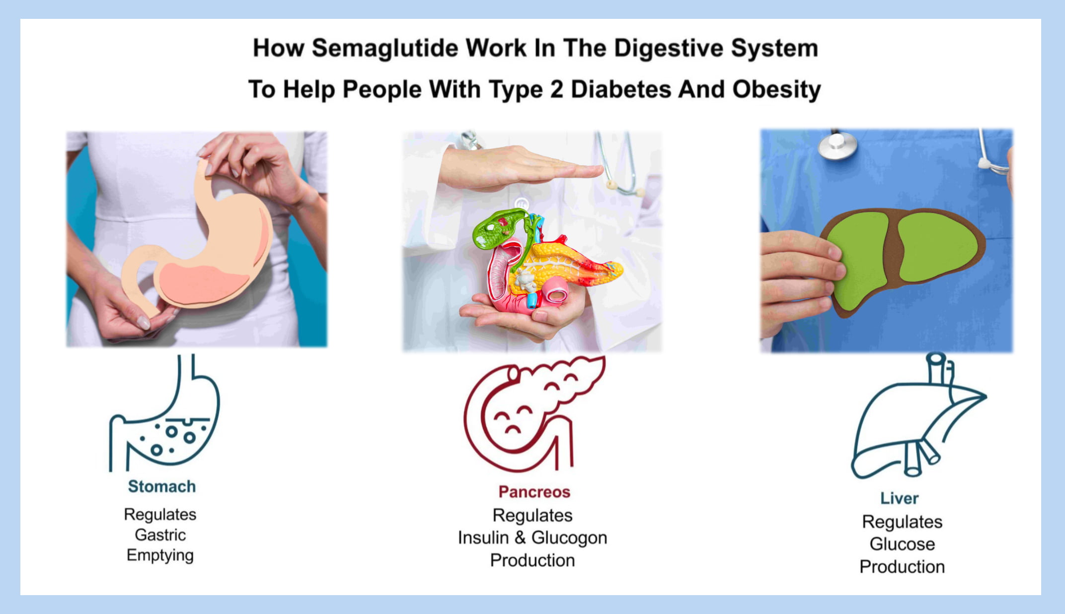 how does semaglutide work in digestive system